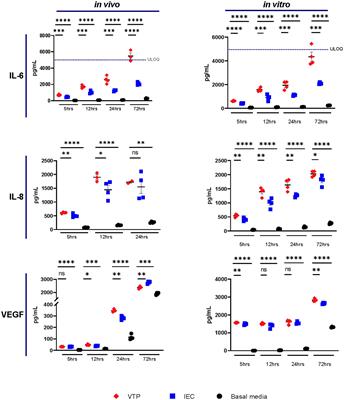 Syphilis and the host: multi-omic analysis of host cellular responses to Treponema pallidum provides novel insight into syphilis pathogenesis